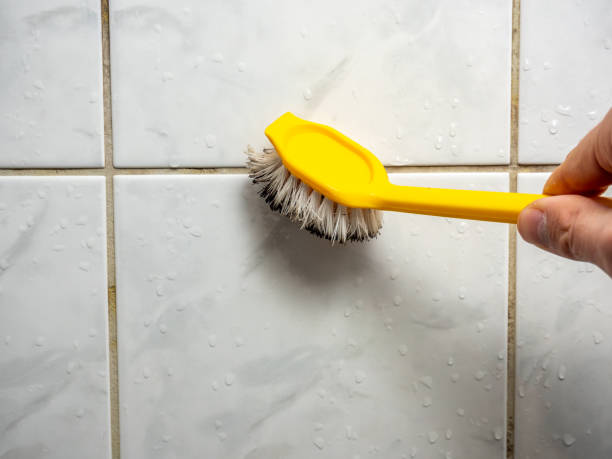 Best Mold Removal Specialists  in Higganum, CT