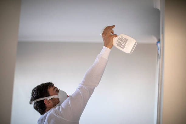 Best Mold Damage Repair  in Higganum, CT