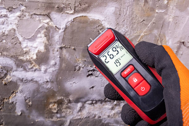 Best Local Mold Removal Service  in Higganum, CT